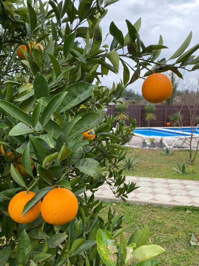 Hotel Solntse Abkhazii Lidzava Zewnętrze zdjęcie