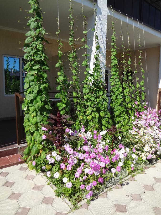 Hotel Solntse Abkhazii Lidzava Zewnętrze zdjęcie